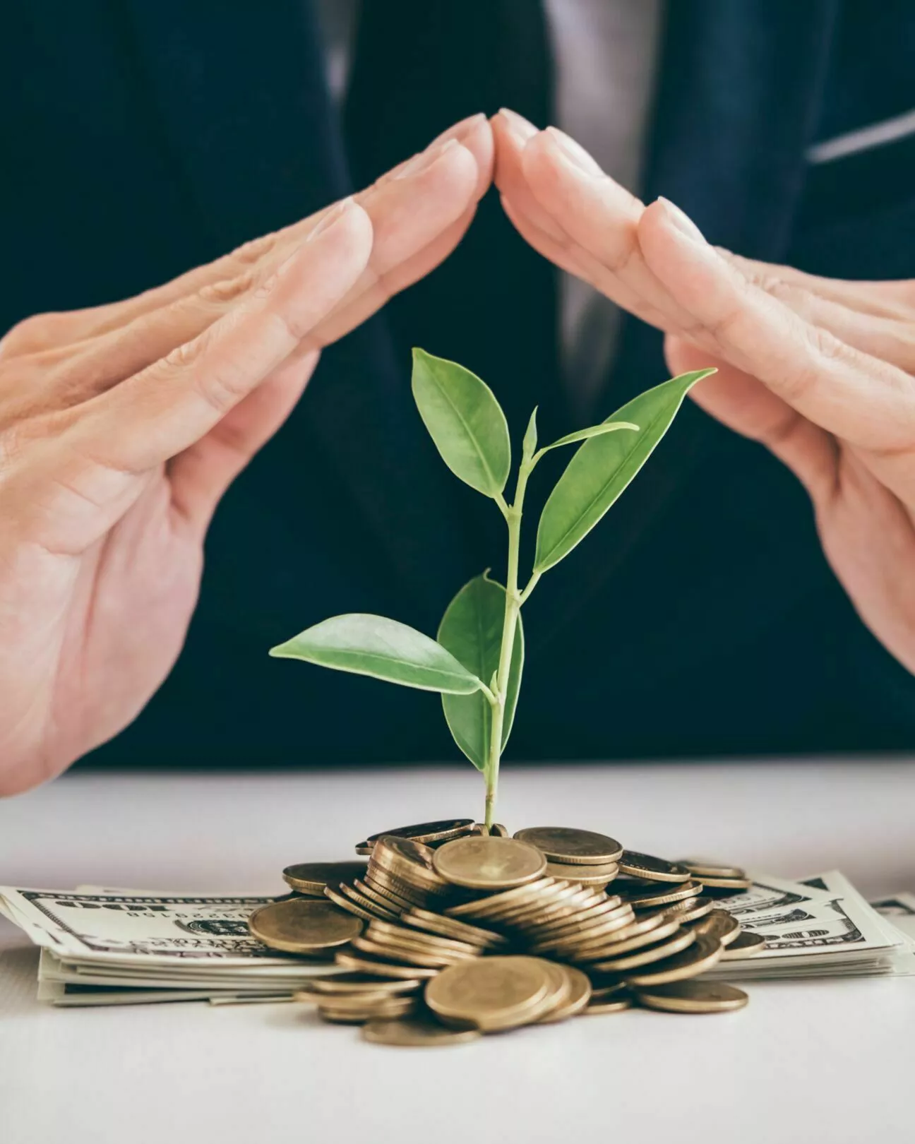 Consultoria Previdenciária